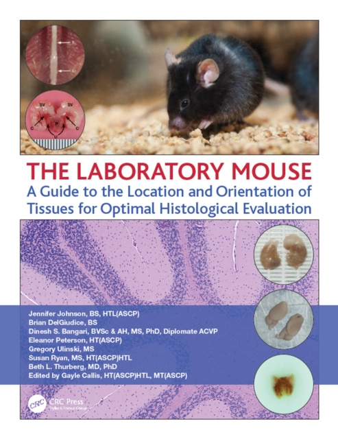 E-knjiga Laboratory Mouse Jennifer Johnson