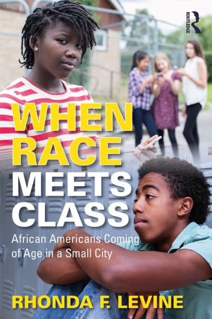 E-Book When Race Meets Class Rhonda F. Levine