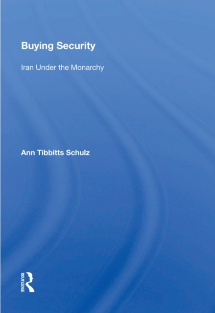 E-kniha Buying Security Ann Tibbitts Schulz