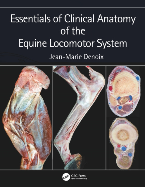 E-kniha Essentials of Clinical Anatomy of the Equine Locomotor System Jean-Marie Denoix