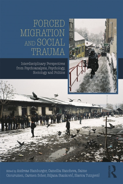 Libro elettronico Forced Migration and Social Trauma Andreas Hamburger