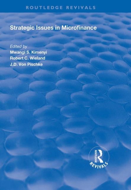 E-book Strategic Issues in Microfinance Mwangi S. Kimenyi