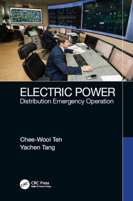 E-Book Electric Power Chee-Wooi Ten