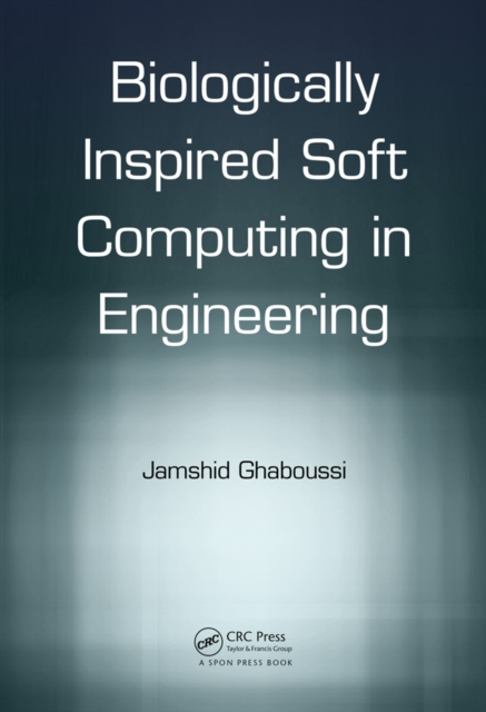 E-knjiga Soft Computing in Engineering Jamshid Ghaboussi