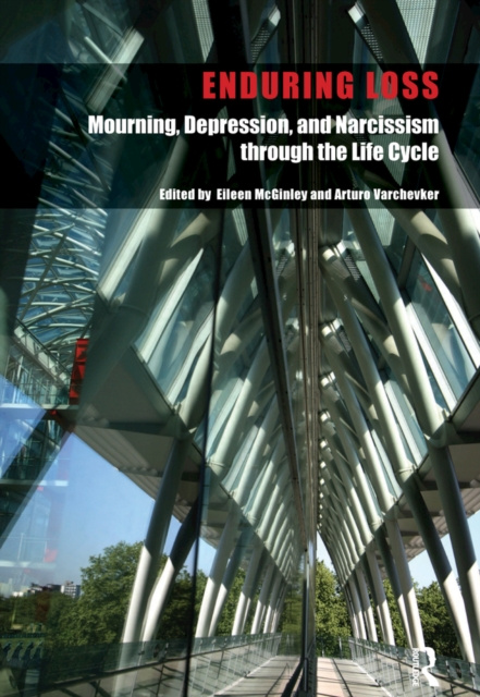 E-book Enduring Loss Eileen McGinley