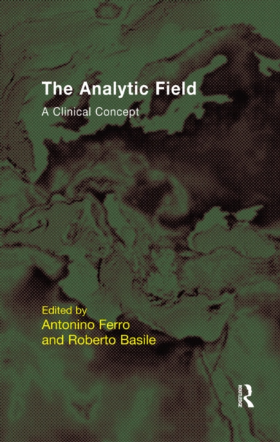 E-knjiga Analytic Field Roberto Basile