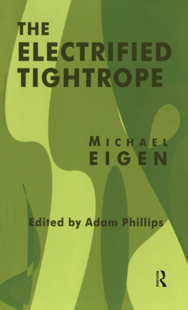 E-book Electrified Tightrope Michael Eigen