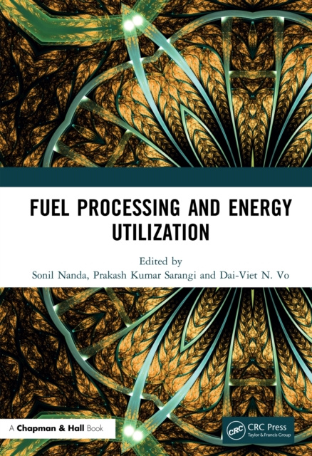 E-knjiga Fuel Processing and Energy Utilization Sonil Nanda