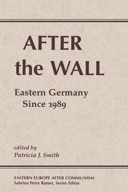 E-knjiga After The Wall Patricia J Smith