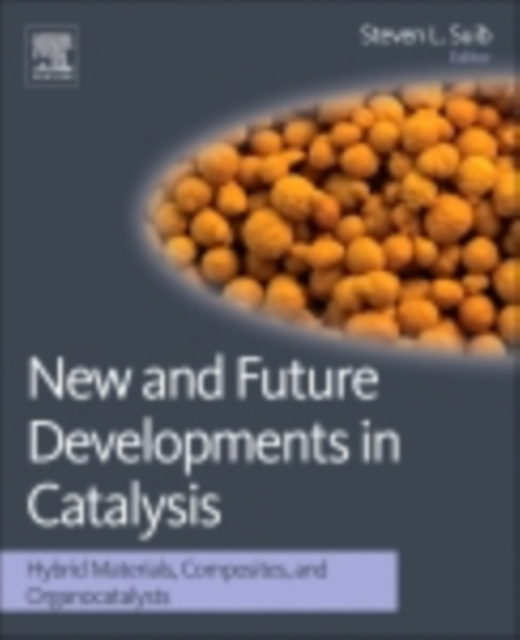 E-Book New and Future Developments in Catalysis Steven L Suib