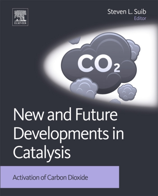 E-book New and Future Developments in Catalysis Steven L Suib
