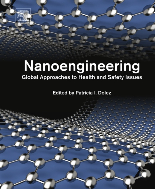 E-knjiga Nanoengineering Patricia Dolez