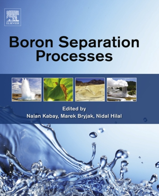 E-book Boron Separation Processes Nalan Kabay