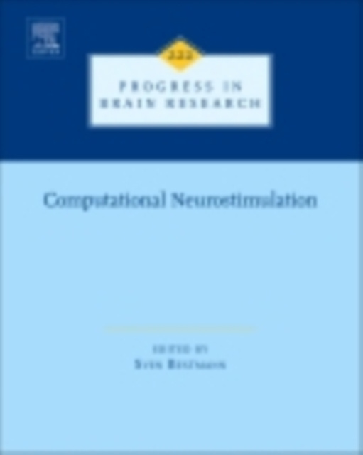 E-Book Computational Neurostimulation Sven Bestmann