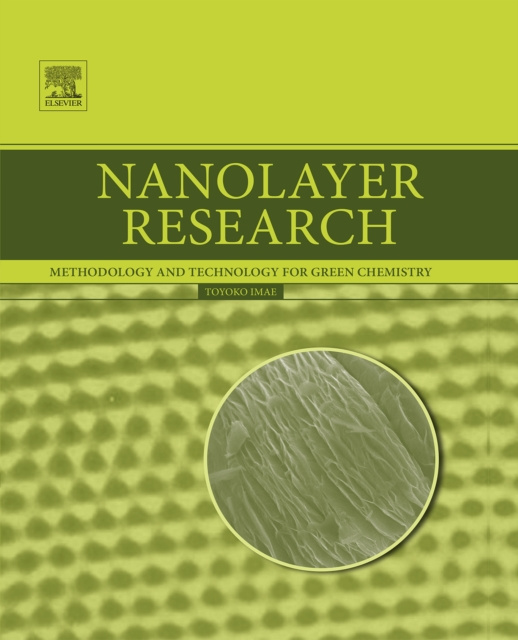 E-knjiga Nanolayer Research Toyoko Imae