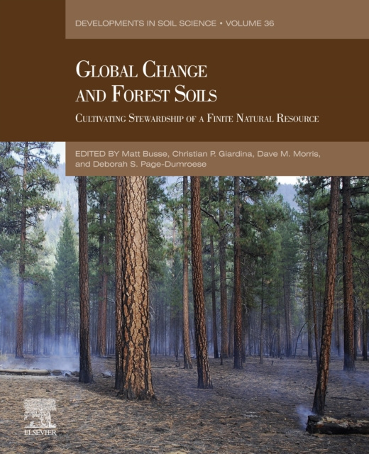 E-kniha Global Change and Forest Soils Matt Busse