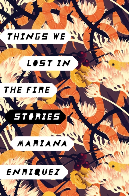 E-kniha Things We Lost in the Fire Mariana Enriquez
