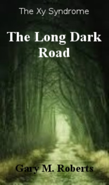 E-kniha Long Dark Road Gary M. Roberts
