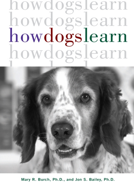 E-book How Dogs Learn Mary R. Burch