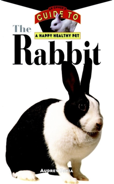 E-Book Rabbit Audrey Pavia