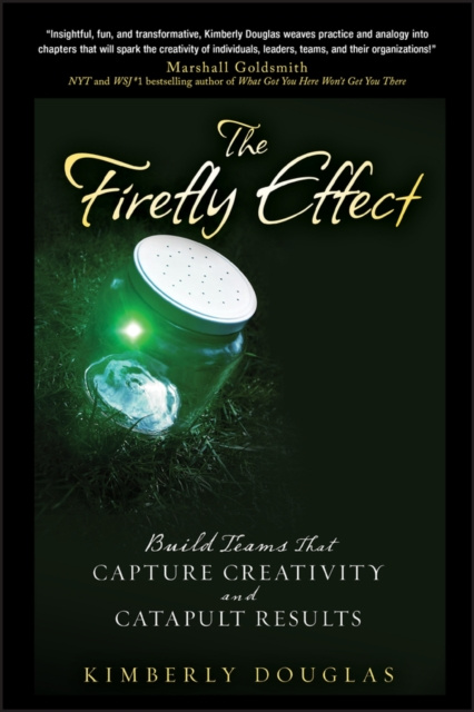 E-knjiga Firefly Effect Kimberly Douglas