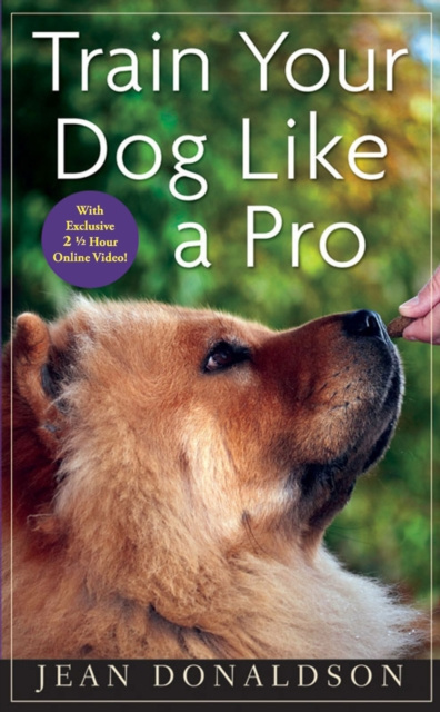 E-kniha Train Your Dog Like a Pro Jean Donaldson