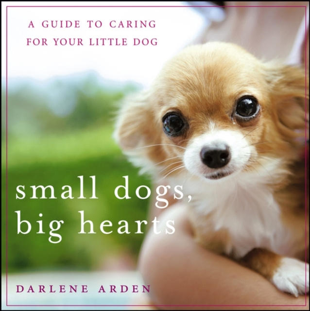 E-book Small Dogs, Big Hearts Darlene Arden