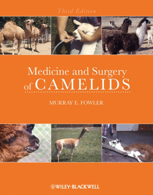 E-kniha Medicine and Surgery of Camelids Murray Fowler