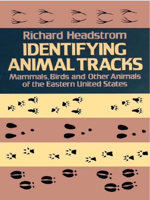 E-kniha Identifying Animal Tracks Richard Headstrom