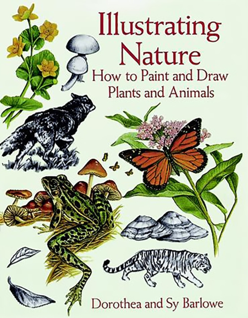 E-kniha Illustrating Nature Dorothea Barlowe
