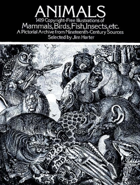 E-kniha Animals Jim Harter