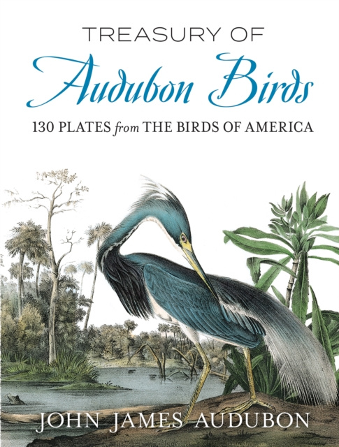 E-kniha Treasury of Audubon Birds John James Audubon