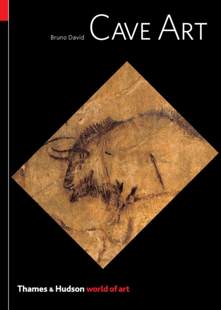 ebook Cave Art Bruno David