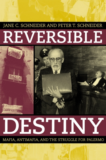 Livre numérique Reversible Destiny Peter T. Schneider
