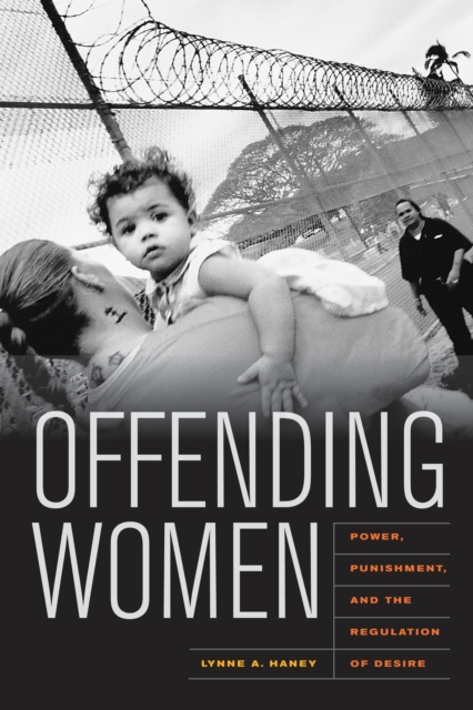 E-book Offending Women Lynne Haney