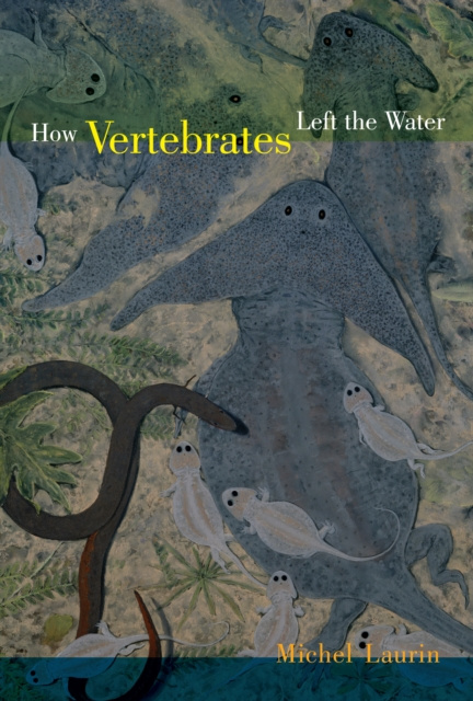 E-kniha How Vertebrates Left the Water Michel Laurin