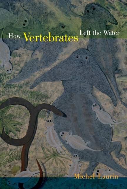 E-book How Vertebrates Left the Water Michel Laurin