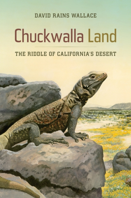 E-kniha Chuckwalla Land David Rains Wallace