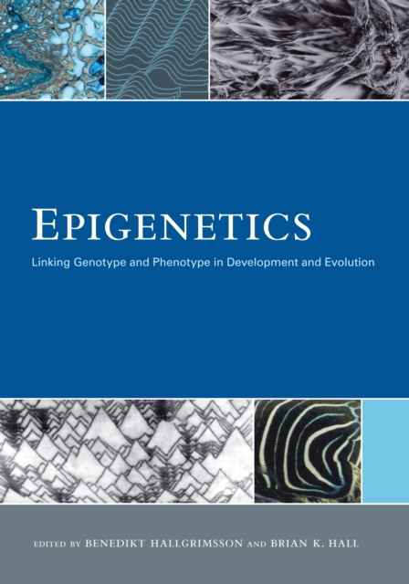 E-knjiga Epigenetics Benedikt Hallgrimsson Ph.D.