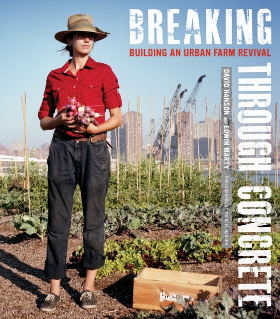 E-knjiga Breaking Through Concrete David Hanson