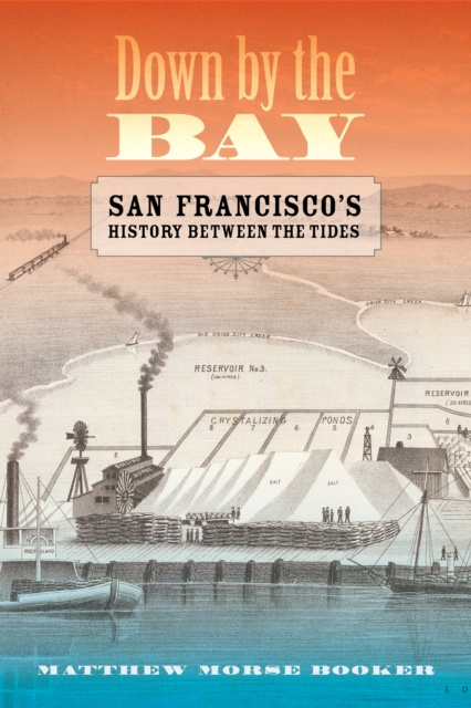 E-book Down by the Bay Matthew Booker