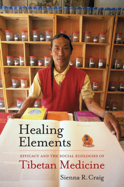 E-knjiga Healing Elements Sienna R. Craig