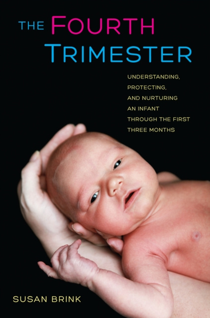 E-book Fourth Trimester Susan Brink