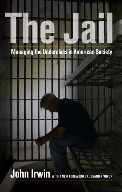 E-book Jail John Irwin