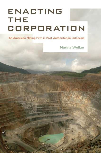 E-kniha Enacting the Corporation Marina Welker