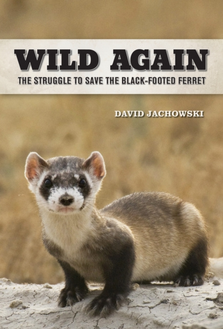 E-knjiga Wild Again David S. Jachowski