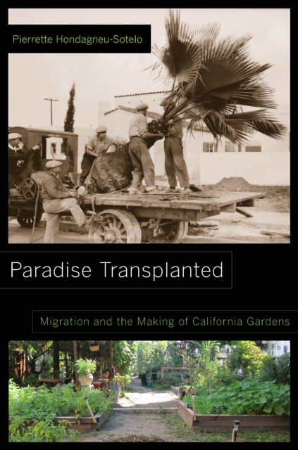 E-Book Paradise Transplanted Pierrette Hondagneu-Sotelo
