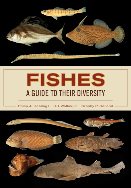 E-book Fishes: A Guide to Their Diversity Philip A. Hastings