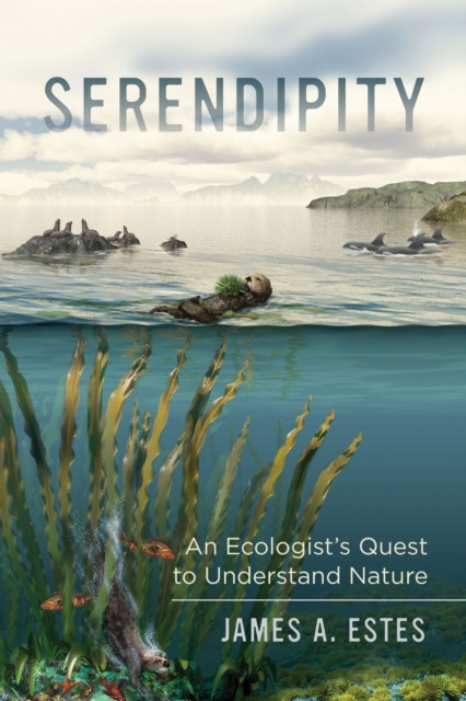 E-book Serendipity James A. Estes