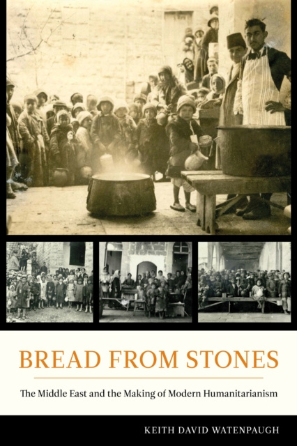 E-book Bread from Stones Keith David Watenpaugh